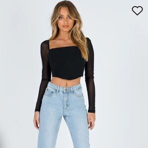 Corset Top with Sheer Sleeves & Back